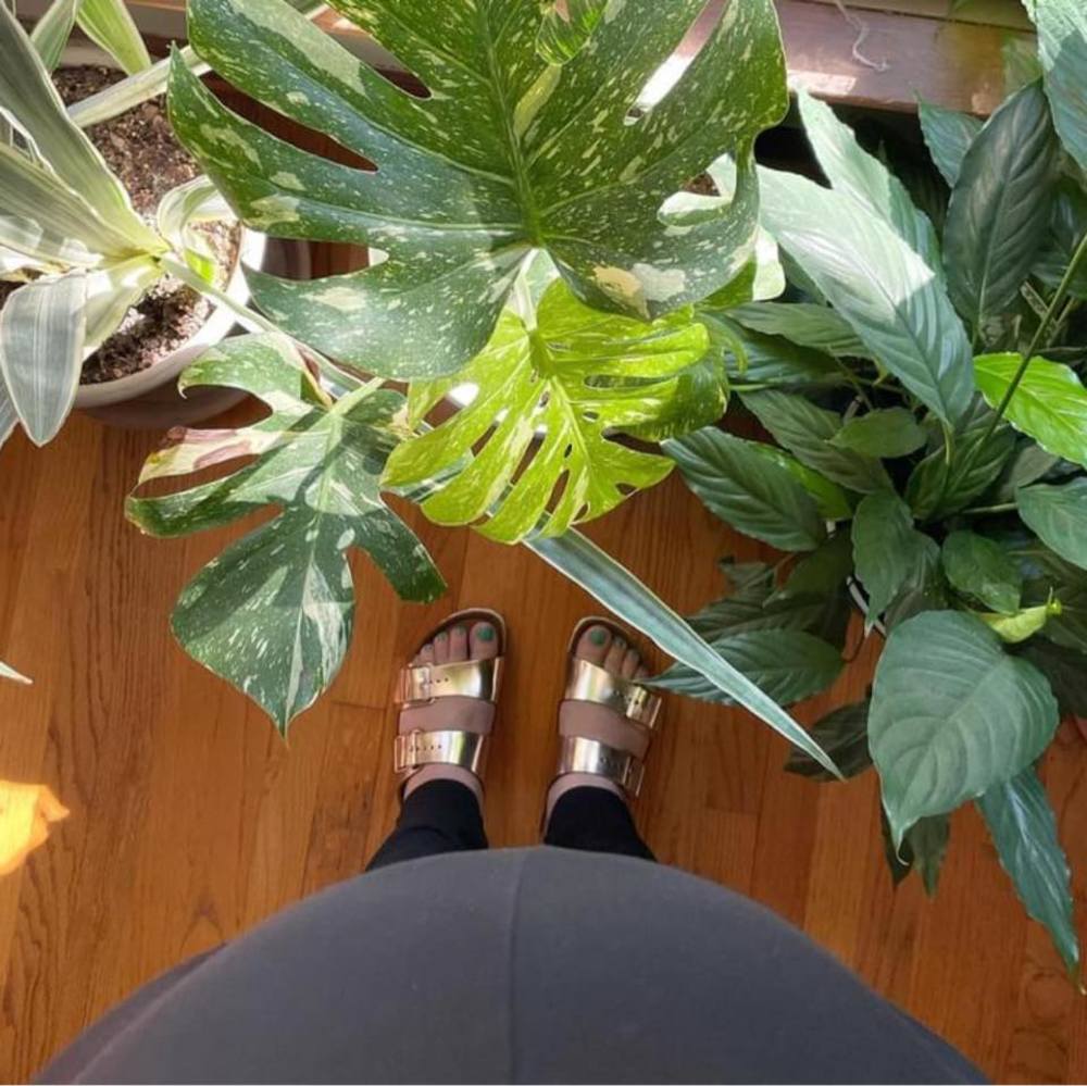 Meet your Posher, Brandi